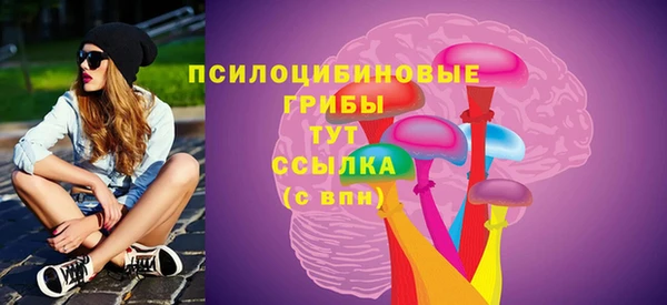 сатива Бородино
