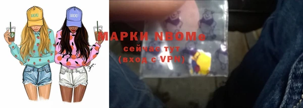 сатива Бородино