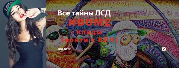 сатива Бородино