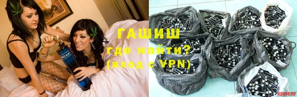 сатива Бородино