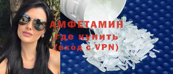 сатива Бородино