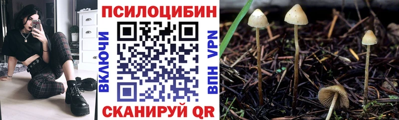 Псилоцибиновые грибы Psilocybe  гидра зеркало  Петровск 